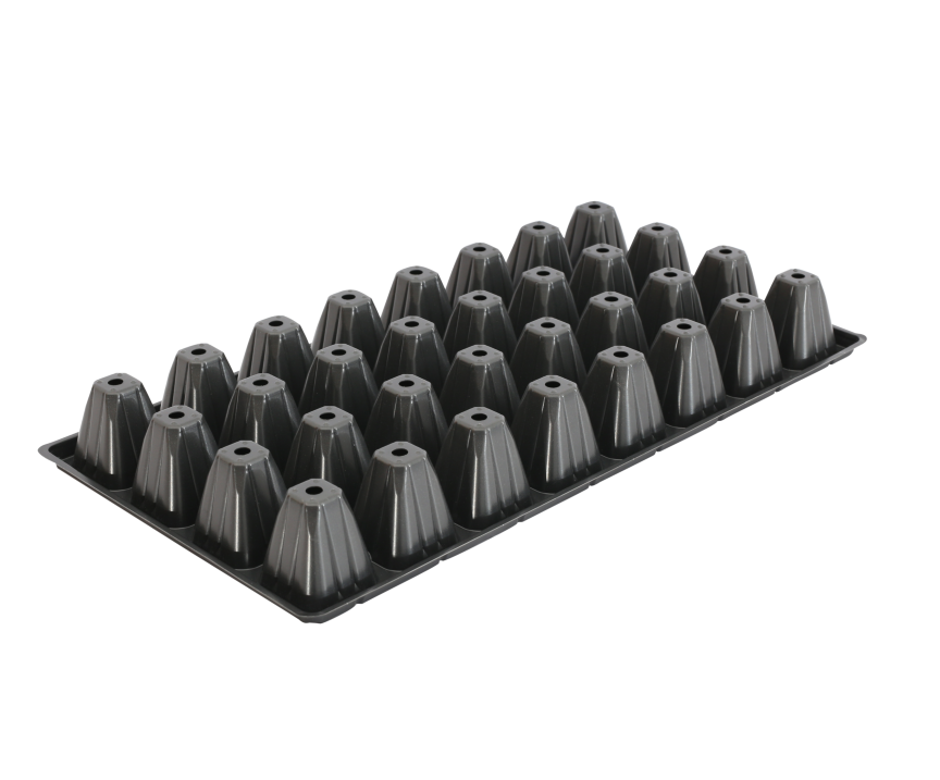 32 Seed Tray Supplier