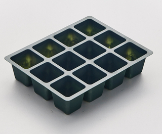 12 PS Seed Growing Tray